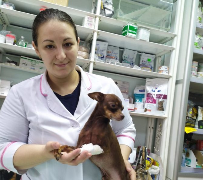 Ветеринары Соликамска отметили профессиональный праздник